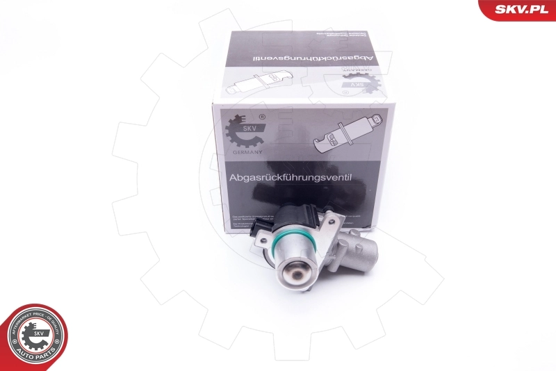 EGR Valve